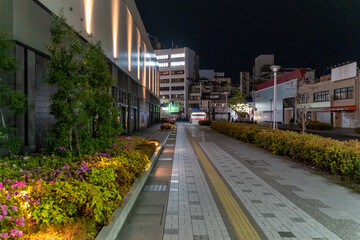 Fototapeta na wymiar 姫路駅周辺の夜景