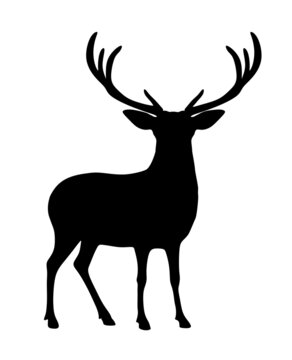 Black vector deer stag reindeer silhouette with antlers on white background.Outline stencil drawing.Merry Christmas.Winter decoration.Vinyl wall sticker decal. Cricut. Plotter Laser Cut.New Year. DIY
