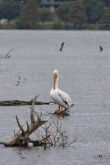 White Rock Lake, Dallas, Texas.