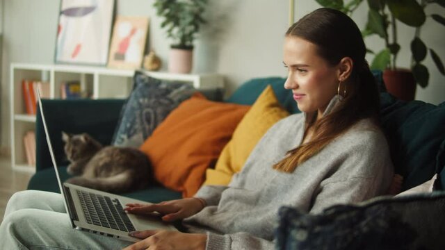 Woman texting on laptop while cat lying on sofa. Female student working on computer near grey kitten on couch. Furry pedigreed pet relaxing. Little best friends. Happy domestic animals at home.