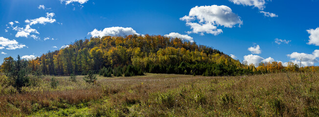 Fall Colors of Mono Cliffs Provincial Park in Ontario showing Autumn forest with yellow green foliage on the trees and brown on the pathway