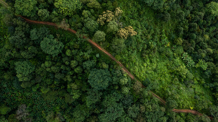 Aerial top view rural road in the forest, dirt road or mud road and rain forest, Aerial view road...