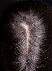 Womens head with gray hair, close-up view of regrown roots, top view on dark background.