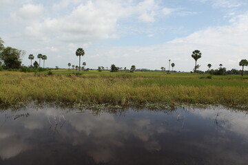 カンボジア、シュムリアップ農村