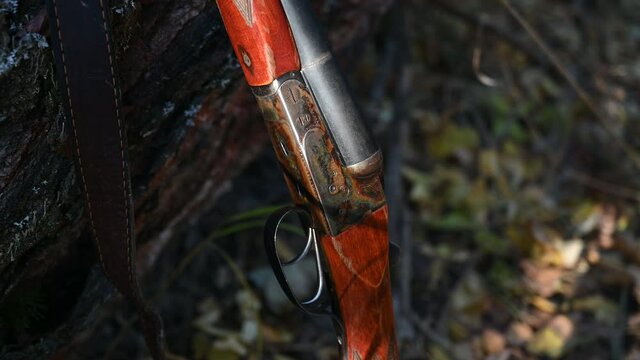 A hunter in the woods picks up a gun. Close-up.