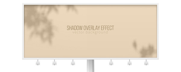 Billboard with shadow of tree branches. Beige vector background for branding or presentation of products.