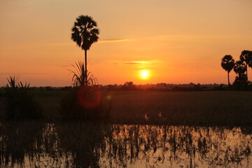 カンボジア、シュムリアップの夕日