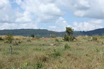 Fototapeta na wymiar カンボジア、シュムリアップの地雷原