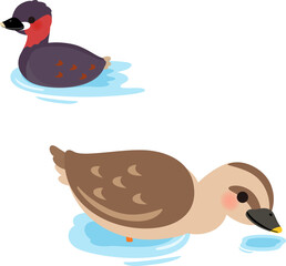 水辺にいる鴨とカイツブリ