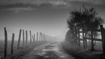 Chemin de campagne s'enfonçant dans le brouillard (Wallonie, Belgique)
