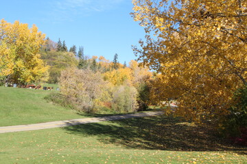 Naklejka premium Fall Colors In The Park, Government House Park, Edmonton, Alberta