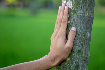 A man puts his hand on a tree and blurs the background behind it