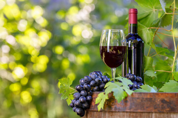 bottle and glass of red wine on wooden barrel in garden