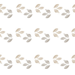 Seamless pattern cardamom on white background. Cute plant sketch ornament. Geometrical texture template for fabric.