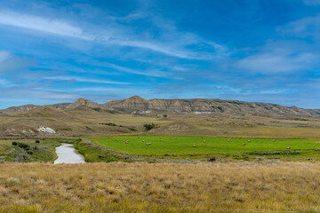 View of the Frenchman River Valley near Ravenscrag, SK