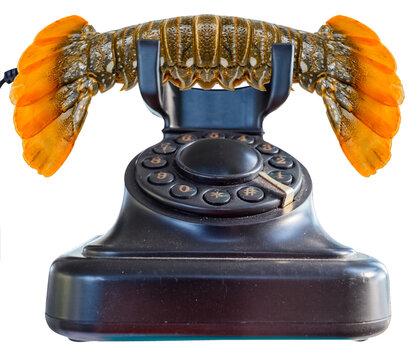 T&eacute;l&eacute;phone crustac&eacute; 