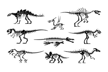 Black dinosaur bones. Dino skeleton and skull silhouettes. Prehistoric animal fossil. Jurassic tyrannosaurus and stegosaurus. Paleontology lizard mockup. Vector extinct reptiles set © SpicyTruffel