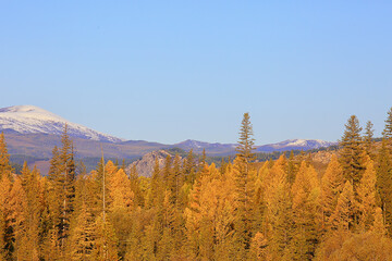 Altai mountain landscape, panorama autumn landscape background, fall nature view