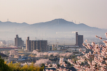 春の成田山から見た犬山市街地