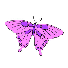 Hand-drawn black vector illustration of one pink Swallowtail butterfly is flying on a white background
