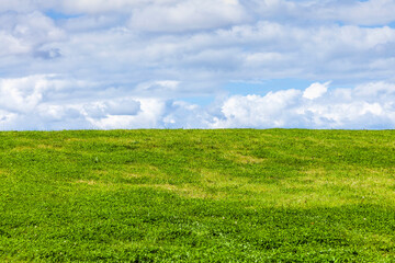 Green grass background showing an horizon of cumulous fluffy clouds with a blue sky in an...