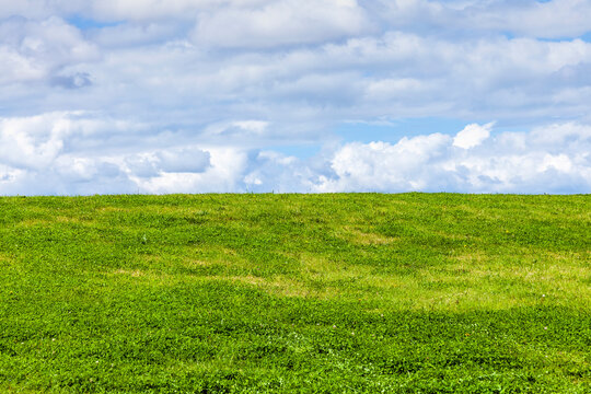 Green grass background showing an horizon of cumulous fluffy clouds with a blue sky in an agricultural pasture field, stock photo image with copy space