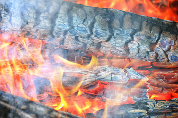 fire coals background burns the fire tree firewood