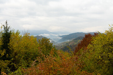 autumn landscape in the Carpathian mountains