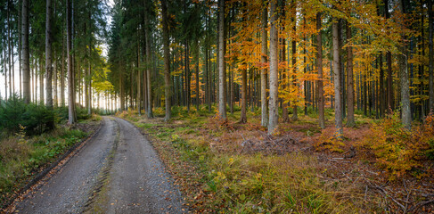 Waldviertelpanorama Herbstwaldweg