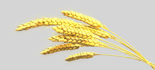 gold rye or wheat bunch, agricultural harvest isolated - design nature 3D rendering