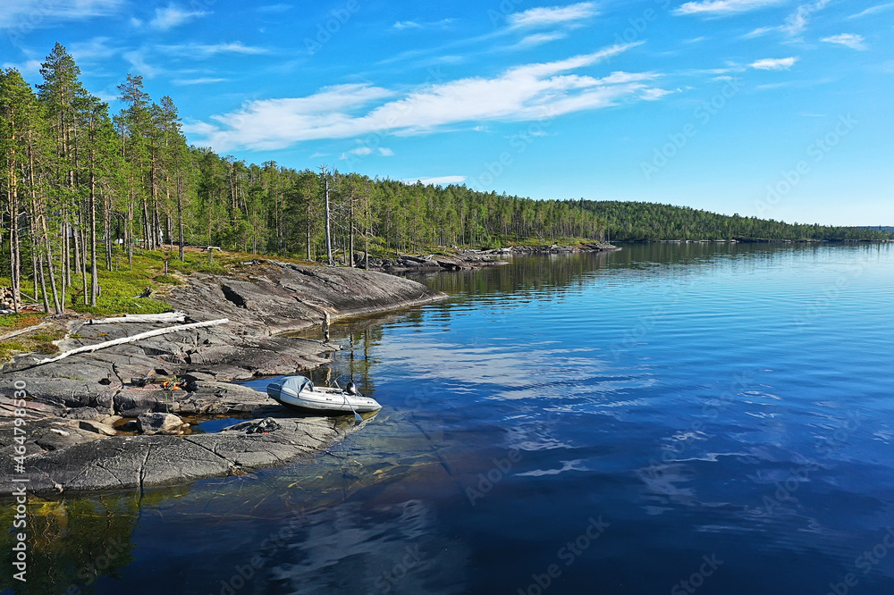 Wall mural forest lake top view, landscape nature view forest, background