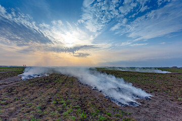 smoke over the field