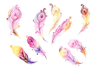 Watercolor multicolor Set of birds feather elements in the style of line art wedding theme on a white background. Doodle and scribble. Yellow, orange, violet, pink, purple and brown colorful peacock