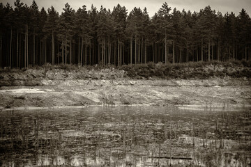 water with reeds in sand and gravel or clay quarries in Latvia forest. sepia monochrome