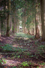 とても不思議な日本の柱状節理