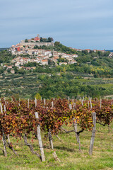 Fototapeta na wymiar The Croatian medieval hill village of Motovun in cental Istria in autumn