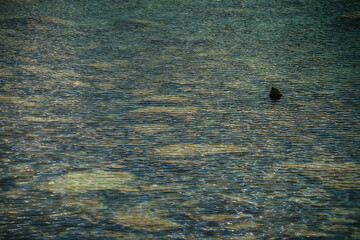 Meditative ripple of mountain lake. Beautiful relaxing background of stony bottom in turquoise transparent water of glacial lake in sunlight. Sunny backdrop with many stones in green clear water.