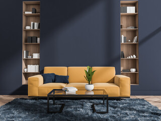 Two niche shelves in blue and yellow living room - obrazy, fototapety, plakaty