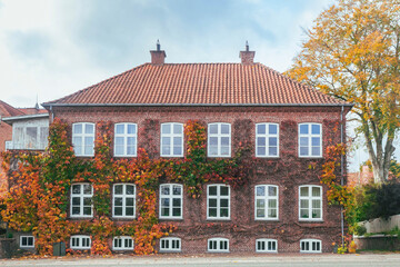 Beautiful tenement house overgrown with wild ivy in autumn Denmark
