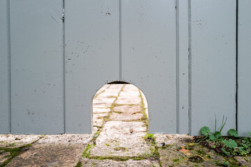 Newly cut small hedgehog entrance hole at the bottom of a garden gate. Wild hedgehogs can now travel freely between gardens. © Nick Beer