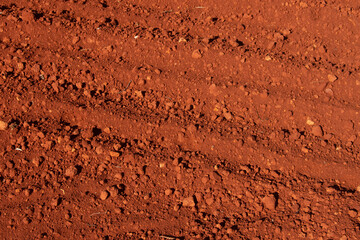 Tierra roja de labranza en el huerto
