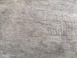 Wood wall texture
