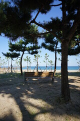 바다, 나무, 풍경