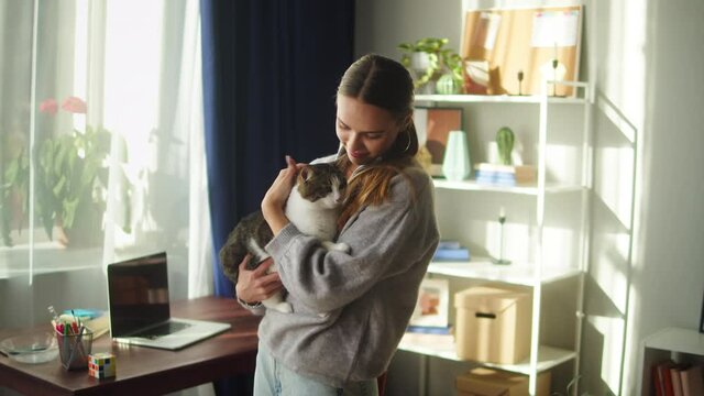 Woman holding cat and petting. Female owner stroking grey kitten, hugging in living room. Furry pedigreed pet relaxing and purring. Little best friends. Happy domestic animal at home.