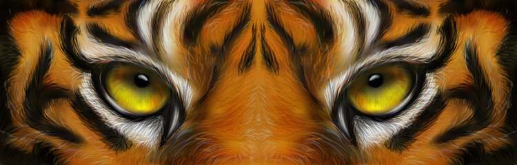 Tiger eyes. Realistic vector illustration of tiger. © Tatyana Sidyukova