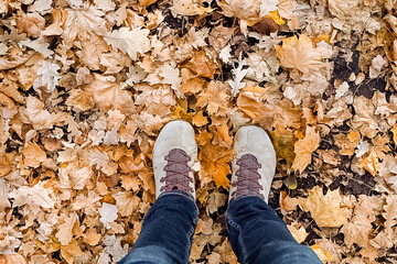 Fototapeta premium feet in mountain boots stand on autumn leaves. The concept of autumn. Walk in the autumn forest.