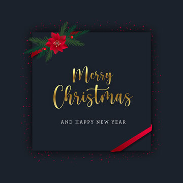 Christmas postcard with Poinsettia and fir tree leaves
