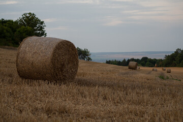 Strohballen auf dem Feld