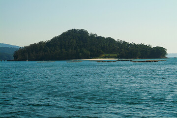 Fototapeta na wymiar Islas Cies en la Ría de Vigo. Pontevedra, Galicia.