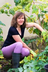 An attractive and mature lady pruning raspberry bushes.
